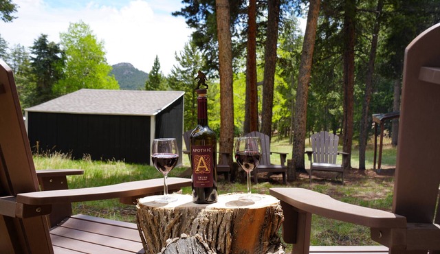 Private Mountain home in Conifer: Hot tub, game room, pets. Near Red Rocks!