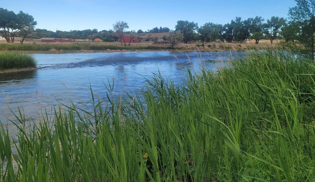 Quaint Unit Next to the Gunnison River! Perfect for Fishing & Exploring Outdoors