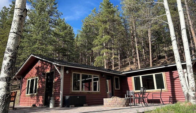 Quiet Mountain Cabin Escape - 1 hr from DIA! Gas firepit & Starlink Wifi