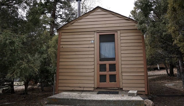 Remote and Cozy Mountain Cabin Nestled in the Poudre Canyon, Perfect for a Pet Friendly Glamping Retreat