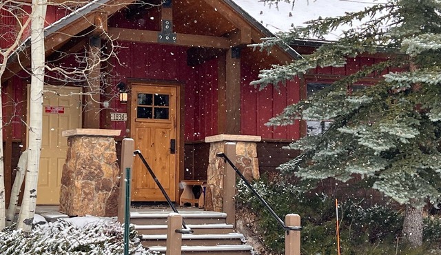 River front w fireplace, hot tub bus stop at door, convenient & private