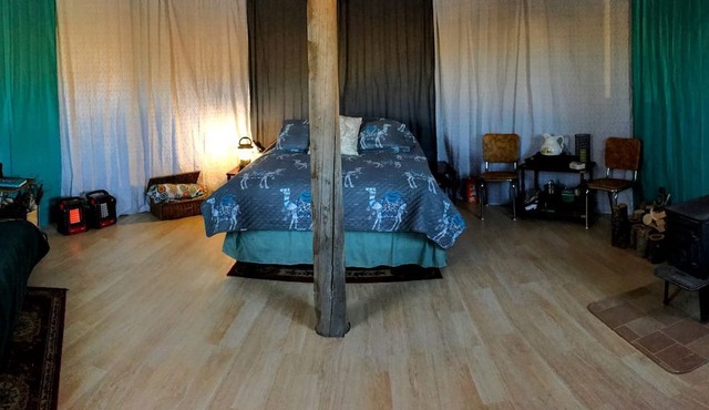 Romantic Camping Yurt on Camel Farm near Alamosa, Colorado