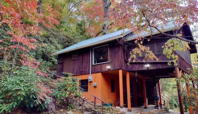 Rustic 1940's Appalachian Summer Cabin w/hot tub - Black Mountain in Black Mountain