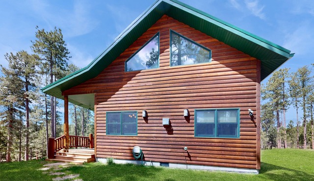 Rustic cabin w/expansive outdoor space, gas firepit, W/D & free WiFi in Nemo