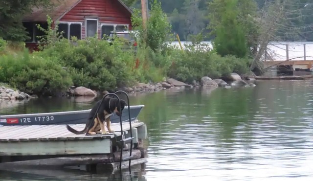 Rustic Log Cabin #8 on Crow Lake at Bull Moose Lodge. Family and pet friendly in NESTOR FALLS