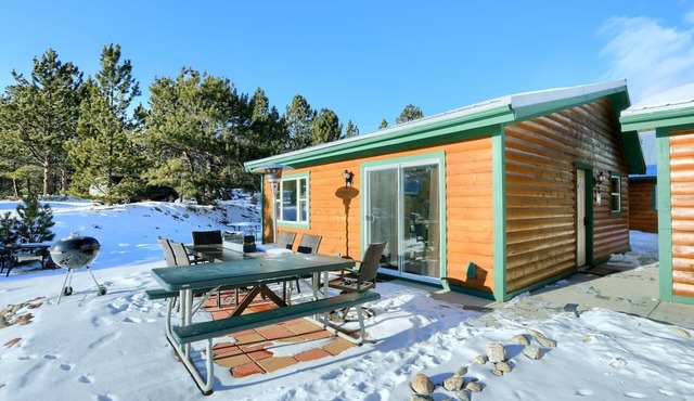 Scenic Mountainside Cabin with BBQ and Fast WiFi