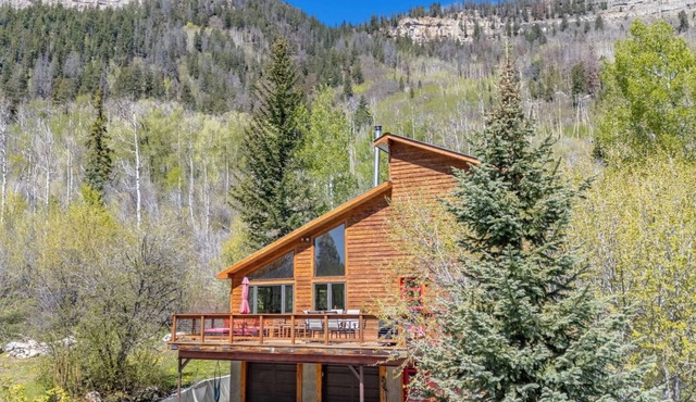 Secluded Getaway Near Purgatory - Luxurious Hot Tub, Idylic 360° Views, Pets OK! in Durango