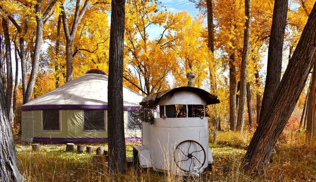 Secluded Woodland Yurt Getaway on Gunnison River in Southwest Colorado