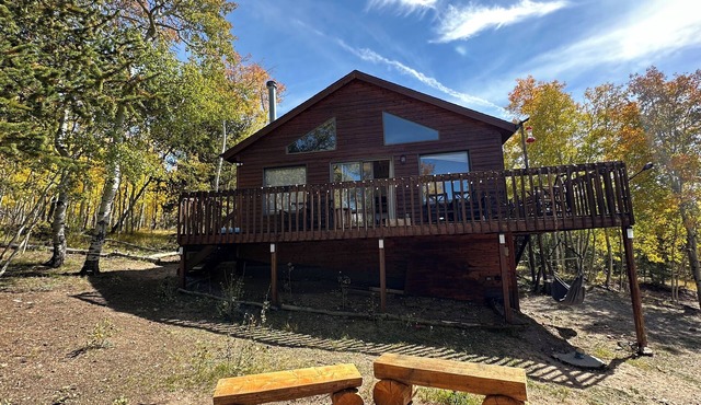 Serene and Peaceful Cabin 50 mins to Breckenridge