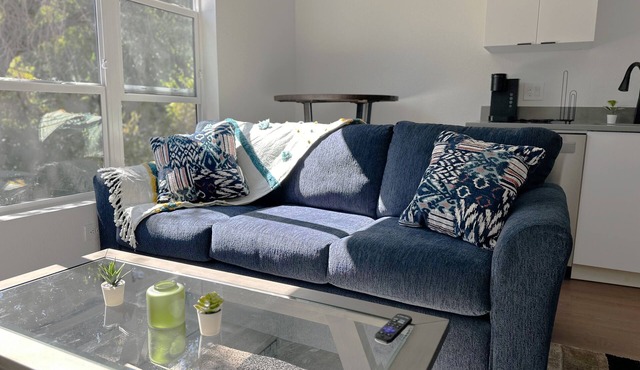 Sloans Lake Studio APT Hideaway