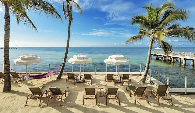 Stay Minutes From Duval Street! 4 Serene Units In the Heart of Key West! in Key West
