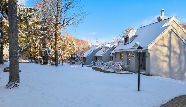 Stratton Comfort, Convenience & Private Hot Tub in Stratton Mountain