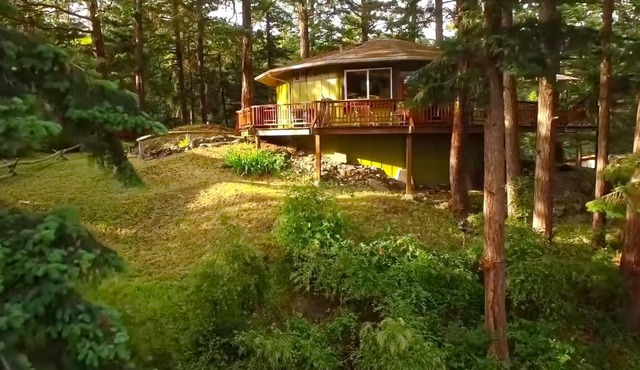 The Island Treehouse in Eastsound