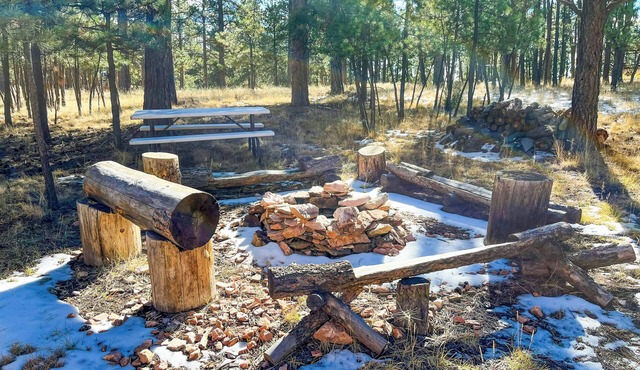 Tranquil Wet Mtn Cabin w/Views on 3 Acres!