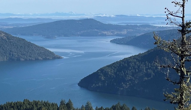 Unbeatable views/sunrises, spacious, hiking, sightseeing, wildlife. in Shawnigan Lake
