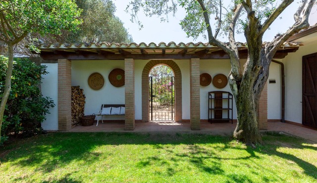 Villa among centuries-old olive trees just minutes from the sea in Pula