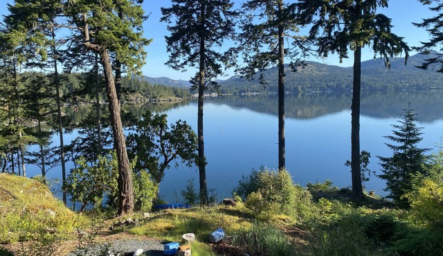 Waterfront! Tiny House Sweet-Suite perched in the forest on the oceanfront. in Sooke