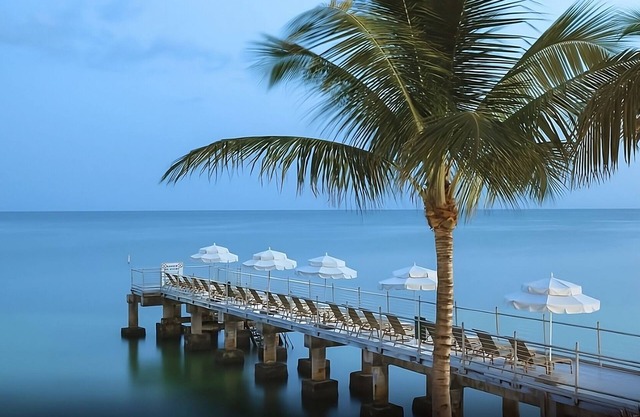 Your Exciting Florida Vacay Starts Here! 2 Island View Units, Onsite Restaurant