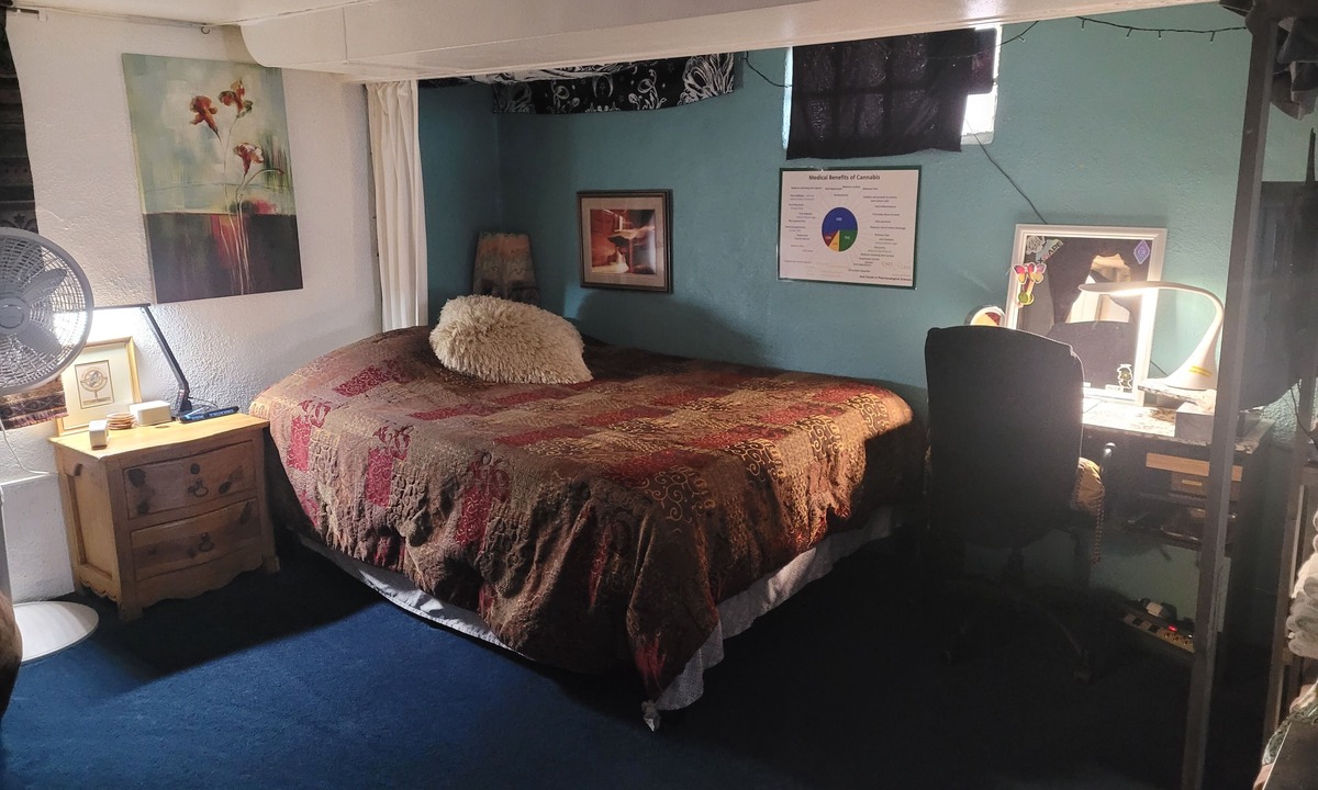 Englewood Apartment | Artistic, clean Lg Basement Studio W/24hr Hottub & Lg private yard. City Oasis.
