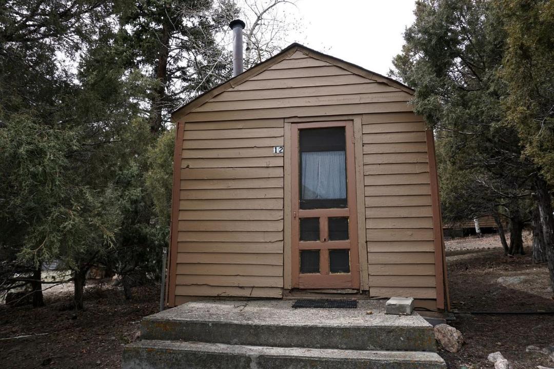 Bellvue House | Remote and Cozy Mountain Cabin Nestled in the Poudre Canyon, Perfect for a Pet Friendly Glamping Retreat