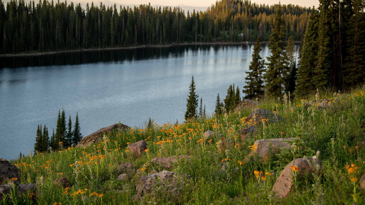 Photo of Outdoor in Cedaredge