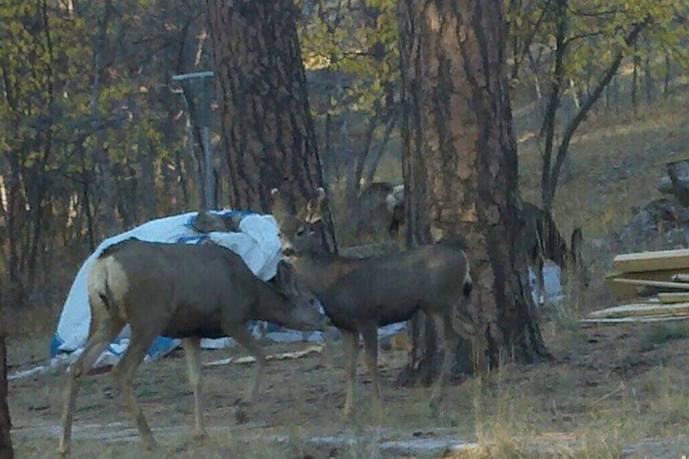 Photo of Others in Beulah