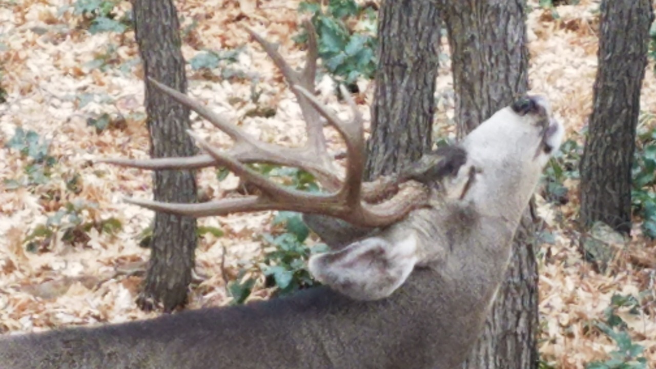 Photo of Outdoor in Loghill Village