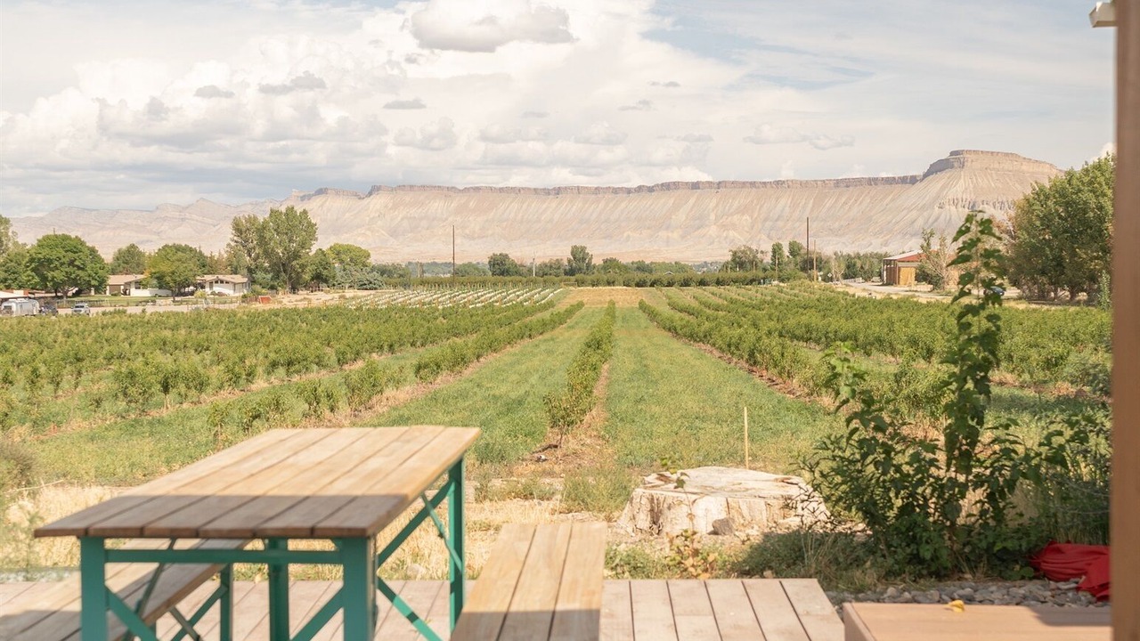 Photo of Outdoor in Palisade
