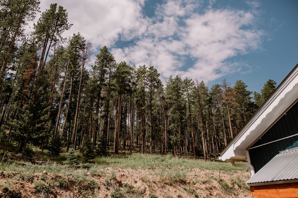 Photo of Outdoor in Shadow Mountain