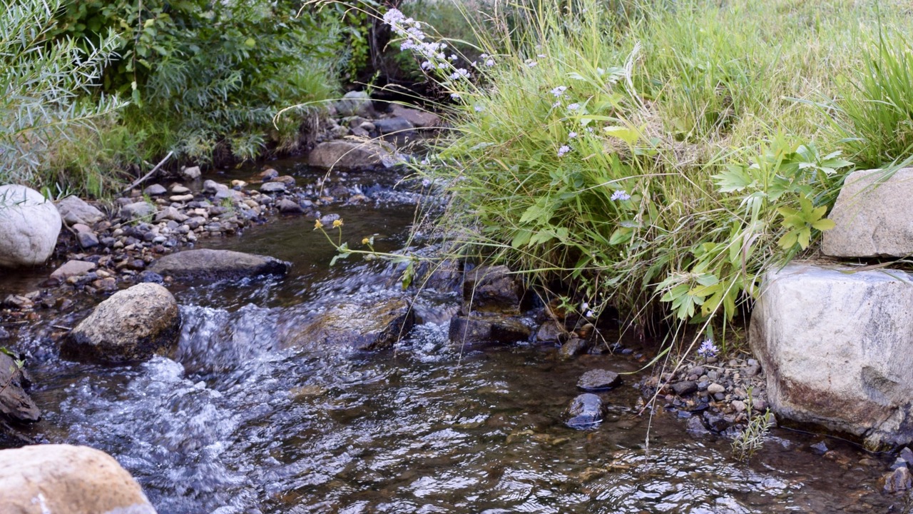 Photo of Outdoor in Salida