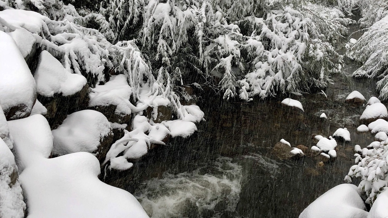 Photo of Outdoor in Salida