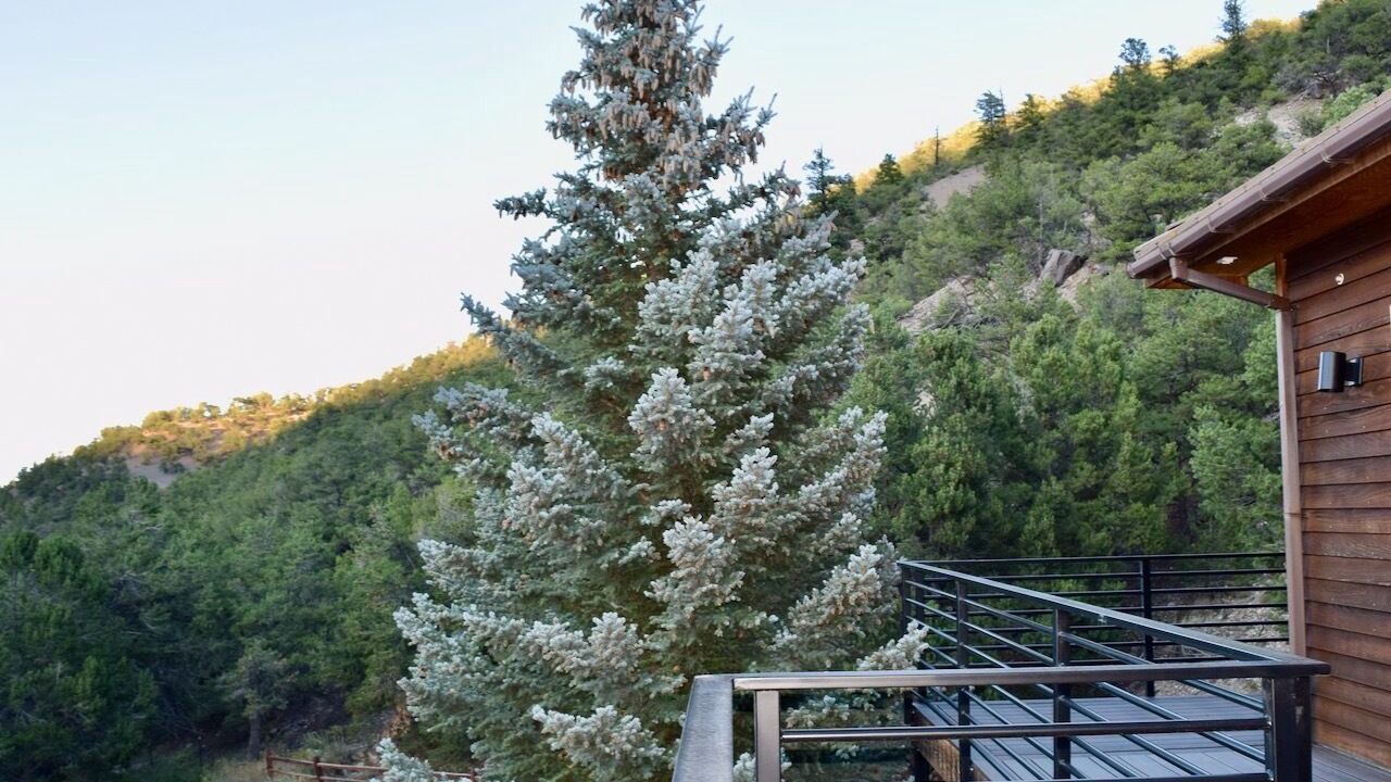 Photo of Outdoor in Salida