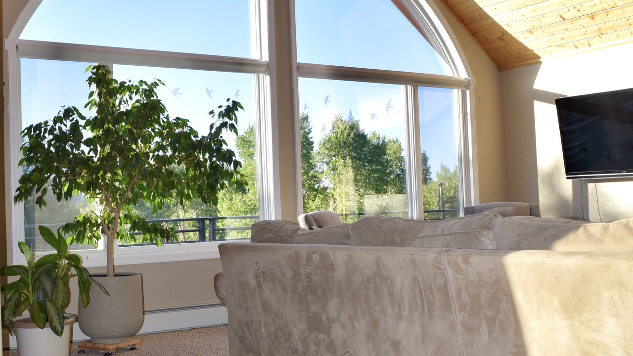 Photo of Outdoor in Salida