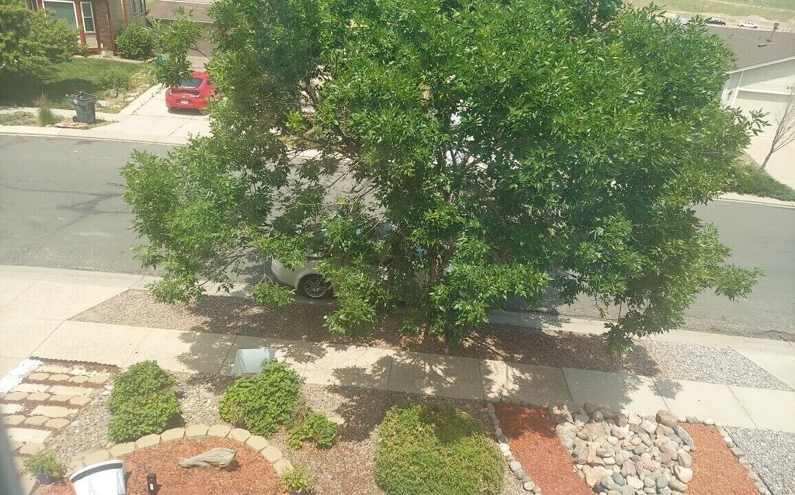 Photo of Outdoor in Northeast Colorado Springs