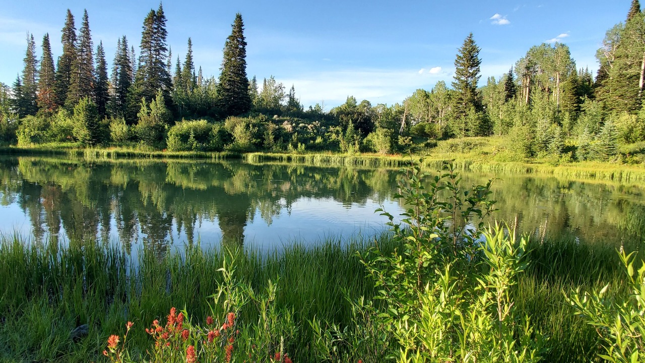 Photo of Outdoor in Craig