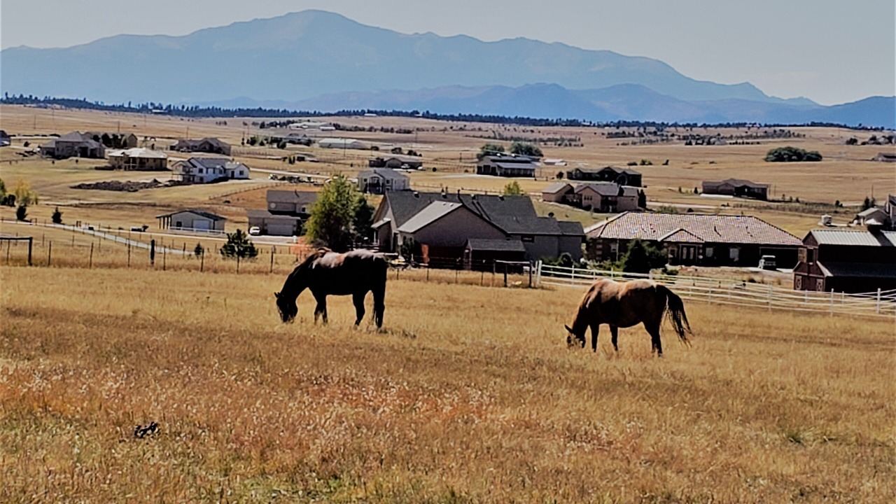 Photo of Others in Colorado Springs