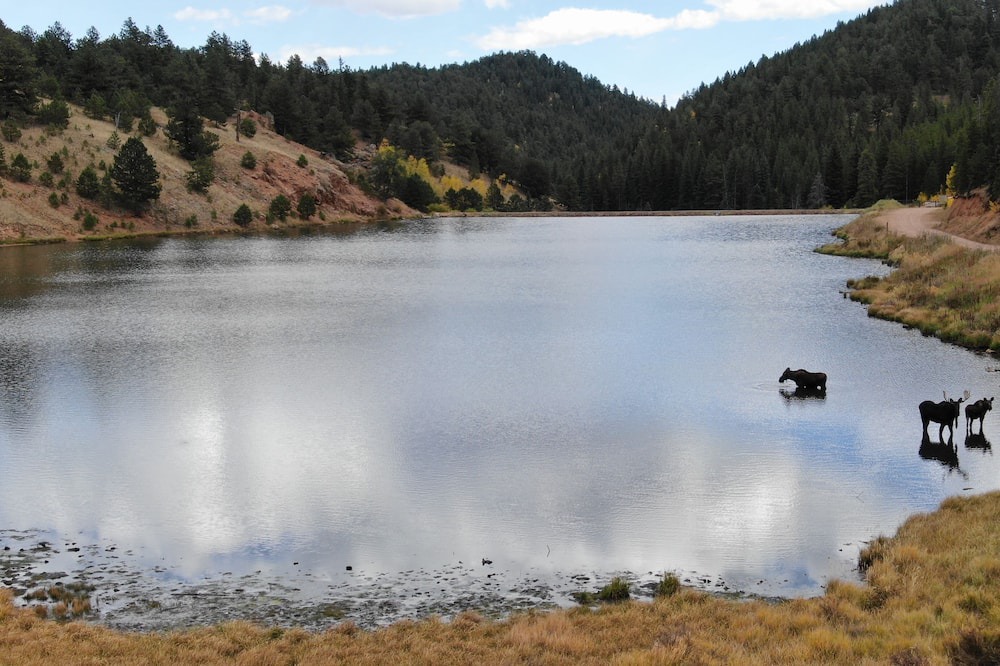 Photo of Outdoor in Bailey