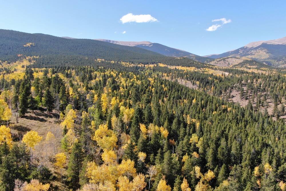 Photo of Outdoor in Bailey