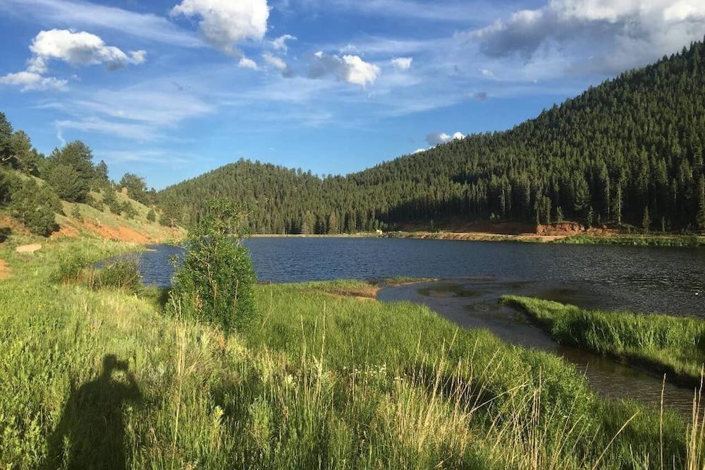 Photo of Others in Bailey