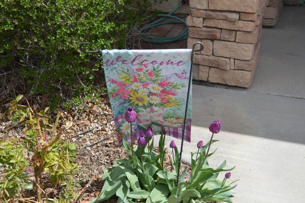 Photo of Outdoor in Palisade