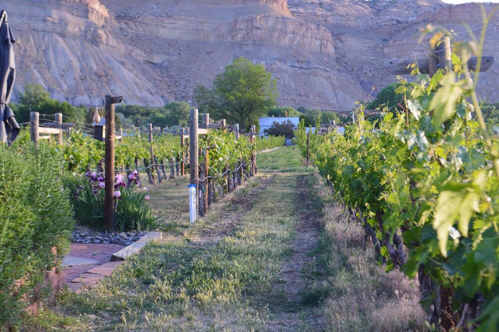 Photo of Outdoor in Palisade