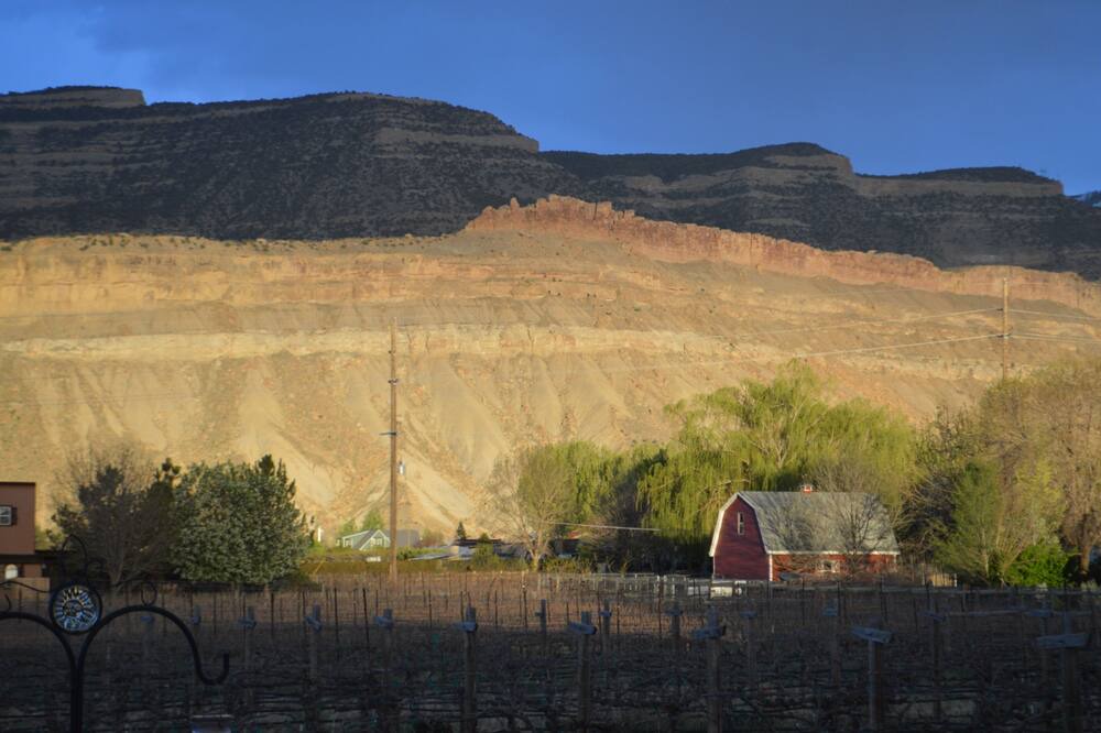 Photo of Others in Palisade