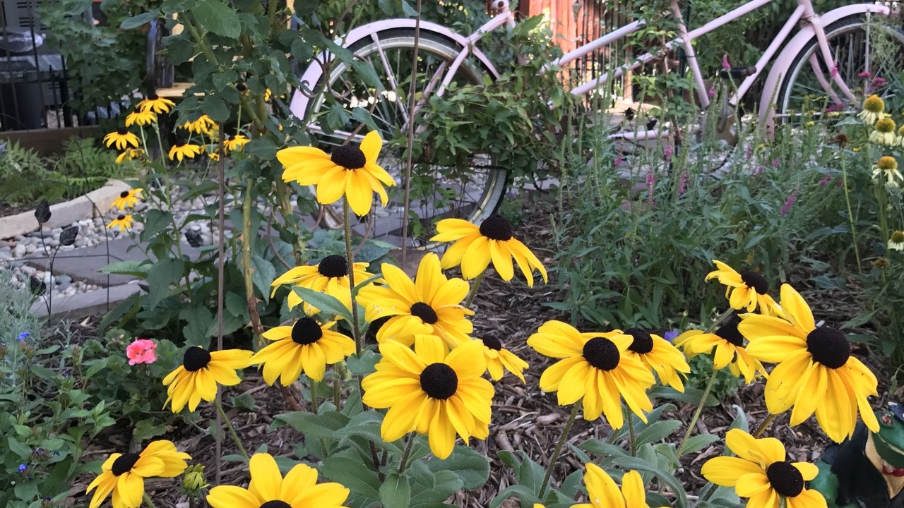 Photo of Outdoor in Glenwood Springs