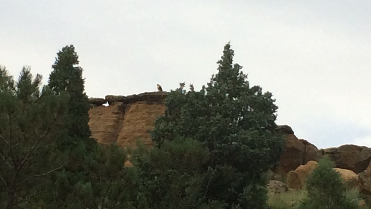 Photo of Outdoor in Northwest Colorado Springs