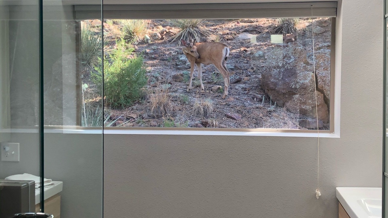 Photo of Others in Northwest Colorado Springs
