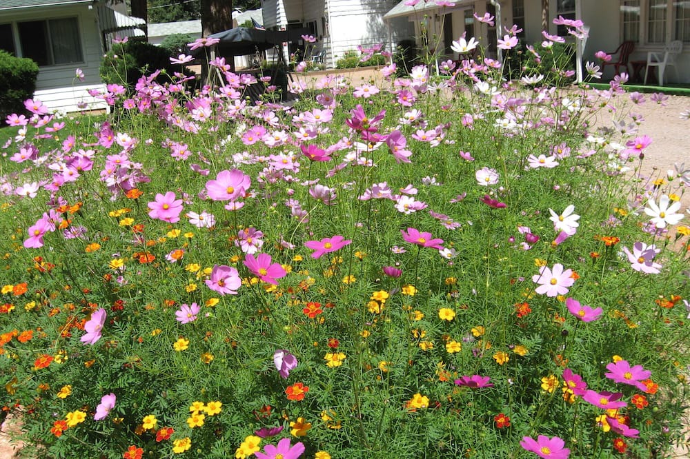 Photo of Outdoor in Manitou Springs