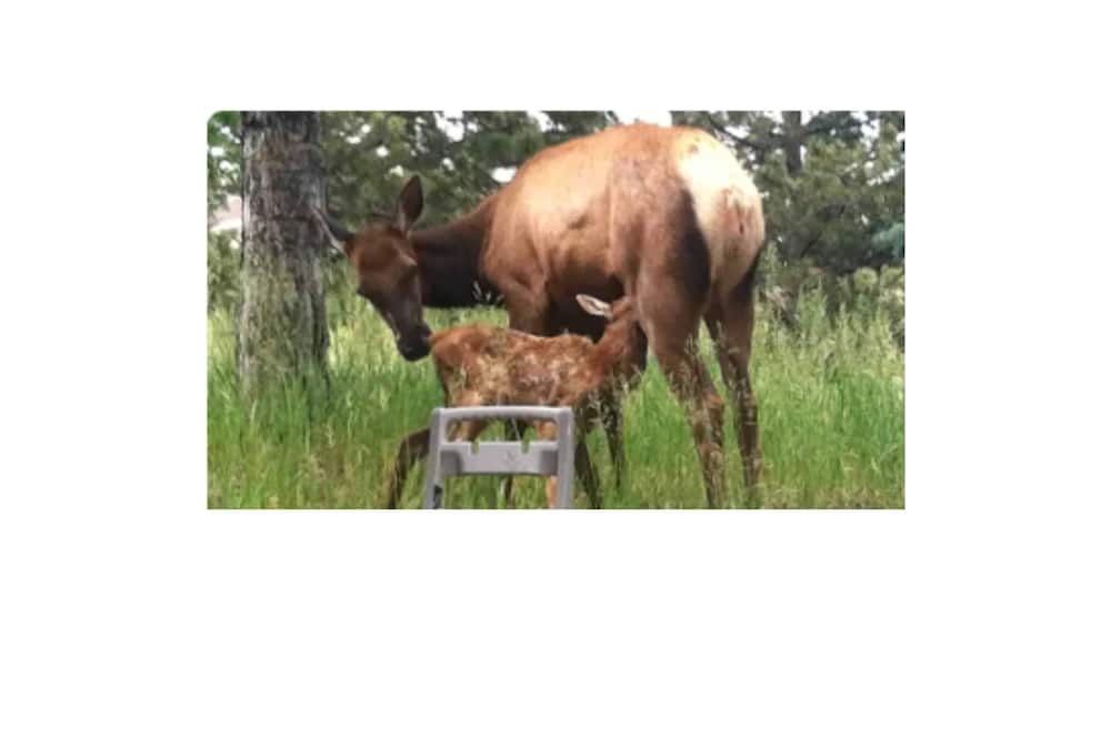 Photo of Others in Evergreen