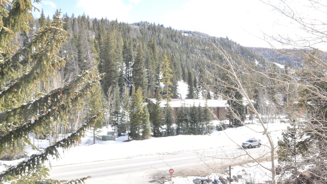Photo of Others in Mountain House