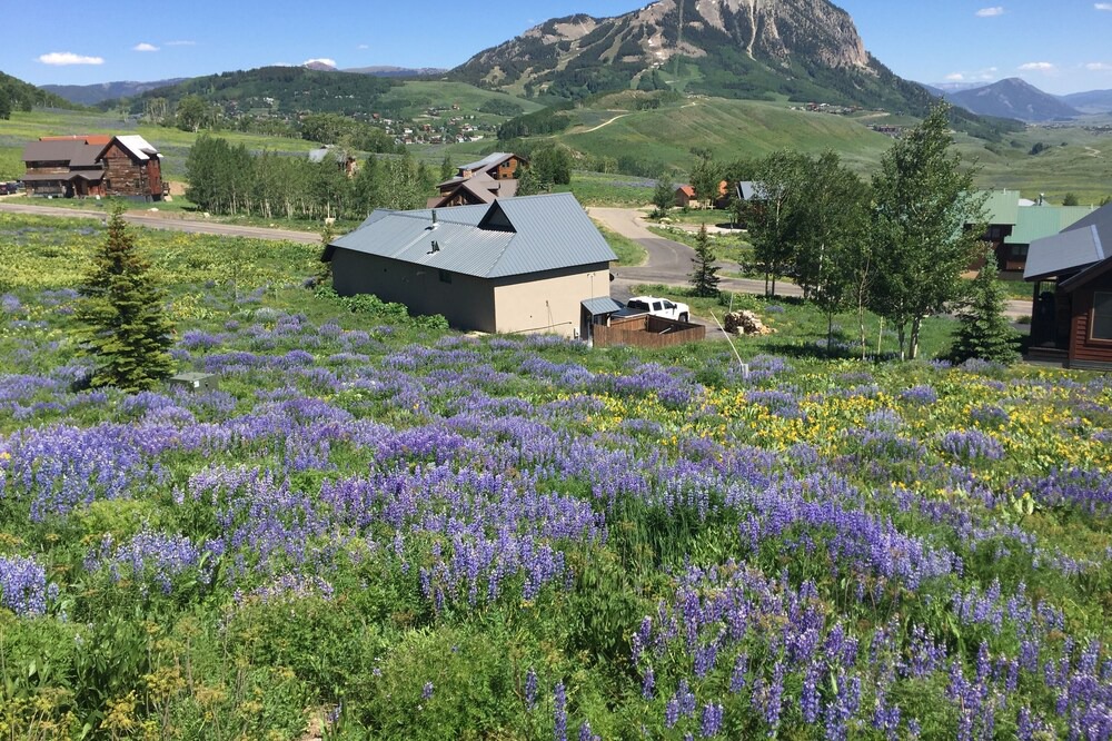 Photo of Others in Crested Butte