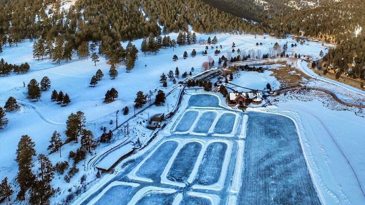 Photo of Others in Evergreen
